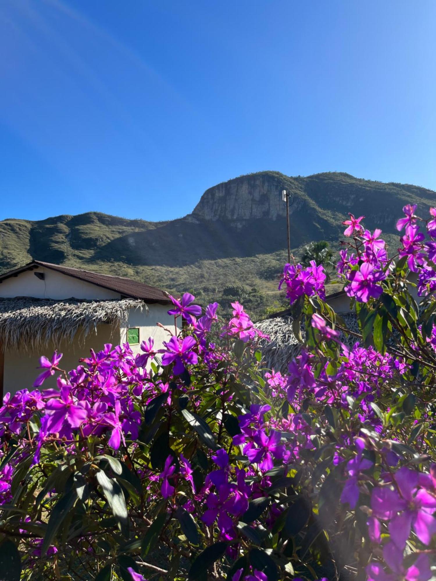 Pousada Rancho Dos Ipes Алту-Параизу-ди-Гояс Номер фото