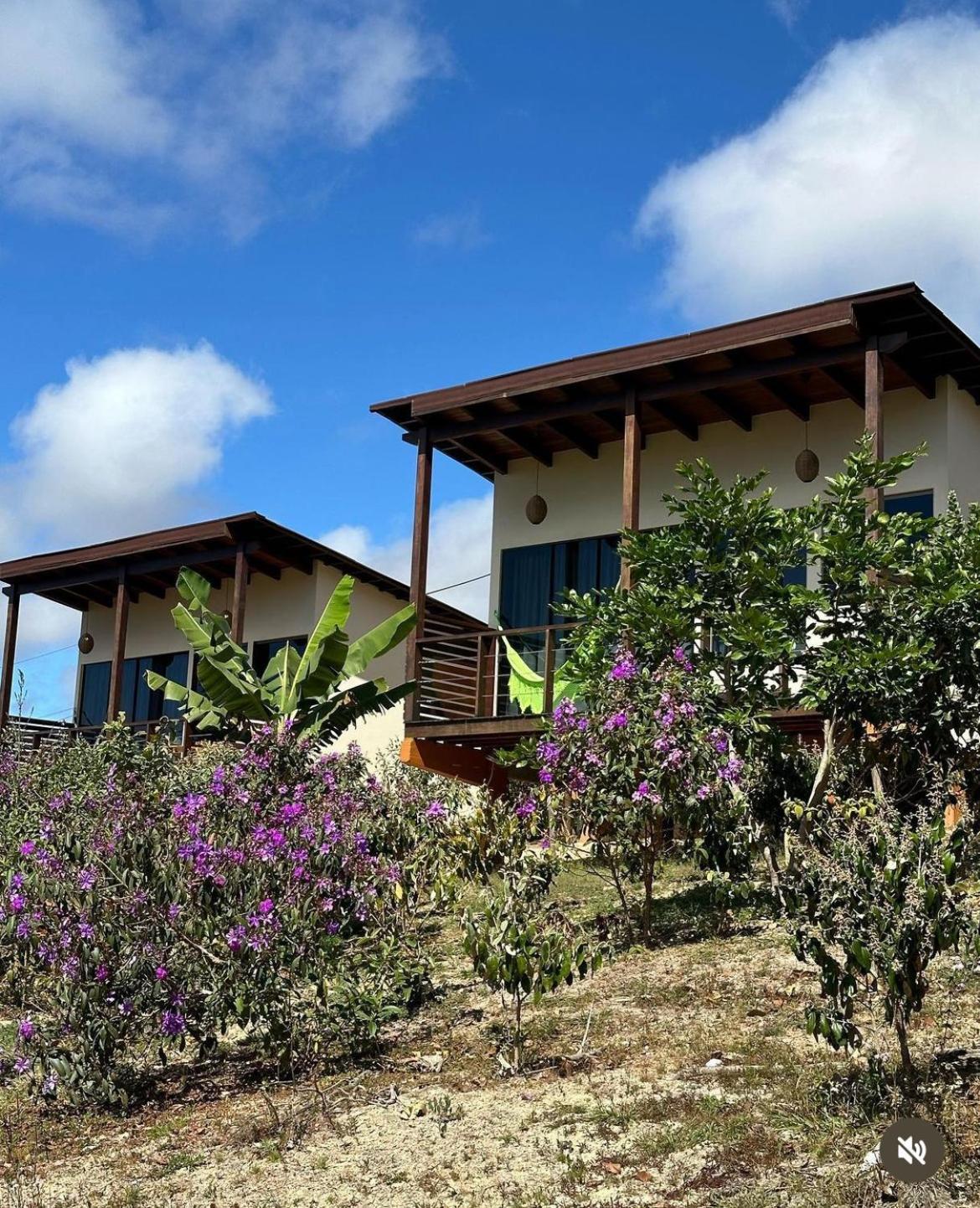 Pousada Rancho Dos Ipes Алту-Параизу-ди-Гояс Экстерьер фото
