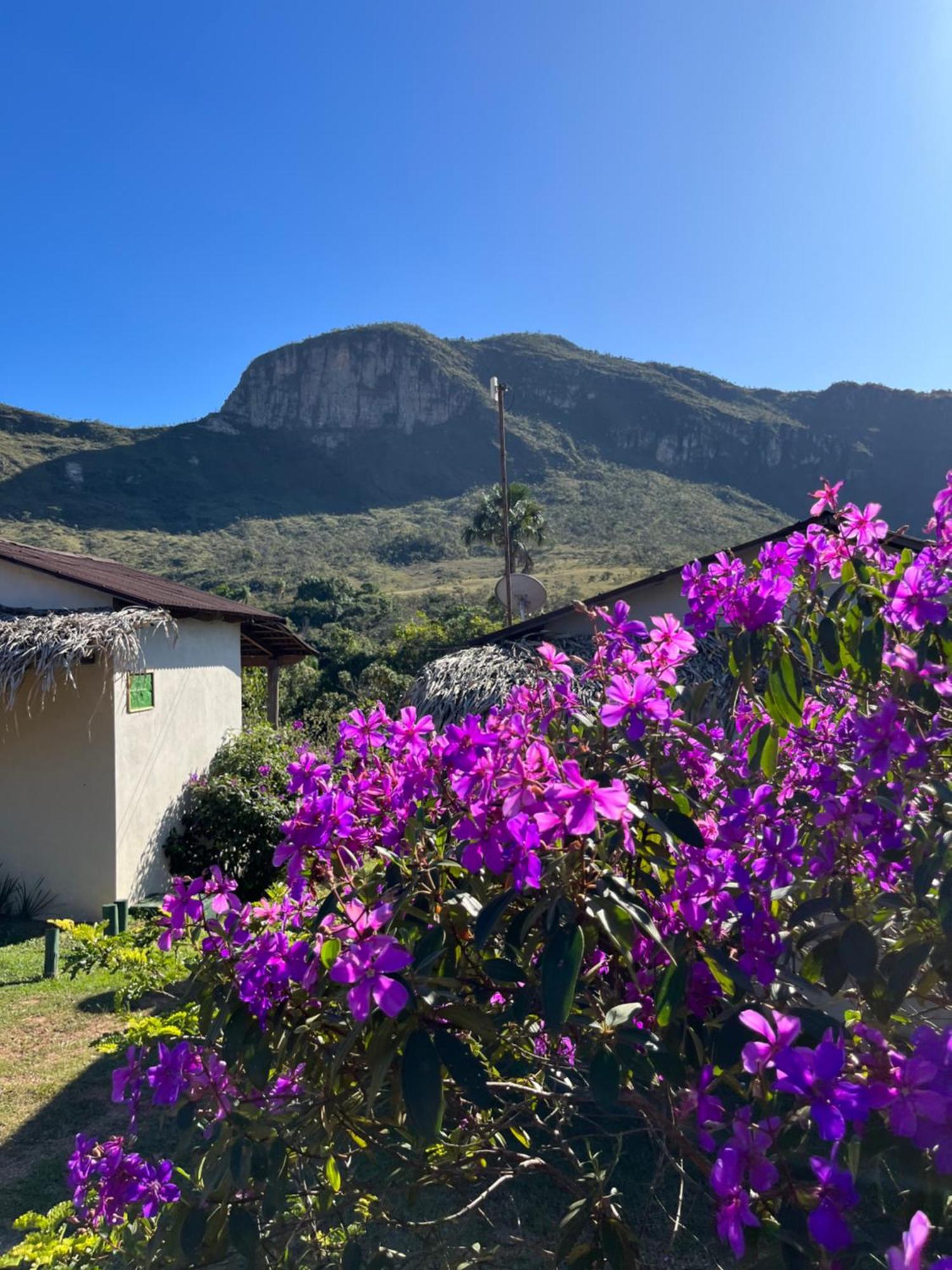 Pousada Rancho Dos Ipes Алту-Параизу-ди-Гояс Экстерьер фото